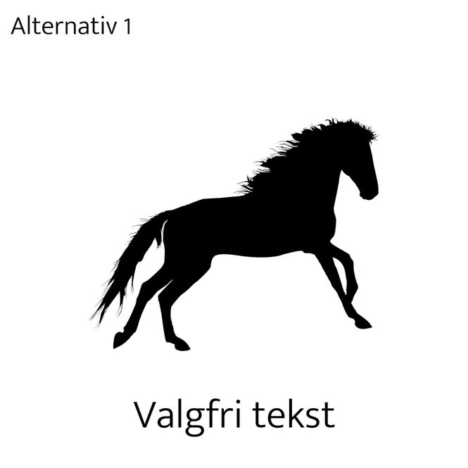 Hovedbilde Trykk Hest 1