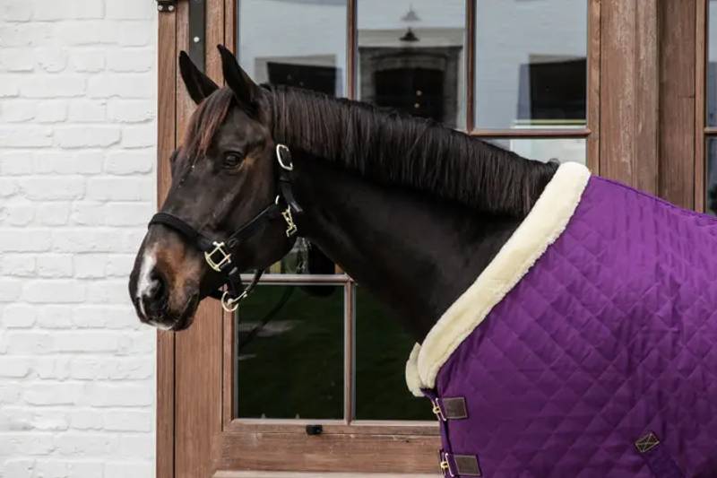 Kentucky Show Rug 160gr Purple