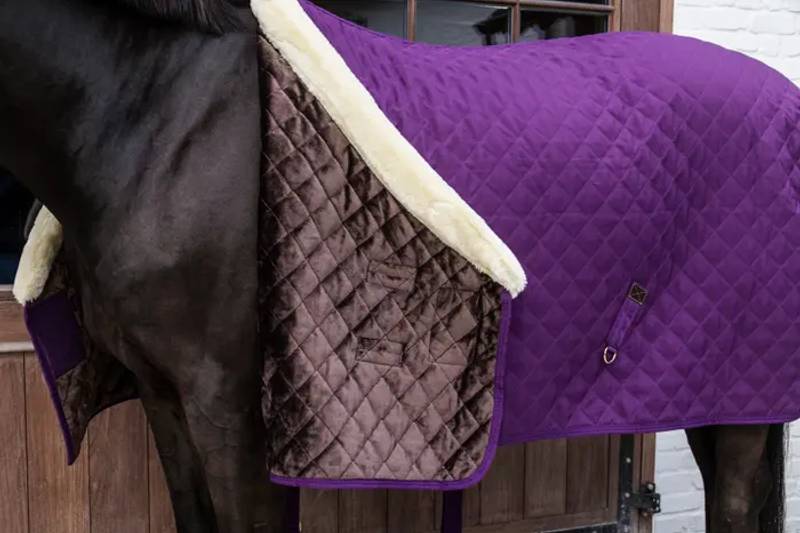 Kentucky Show Rug 160gr Purple
